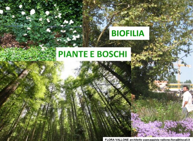 Giardini Contemporanei Arch. Flora Vallone_page-0003